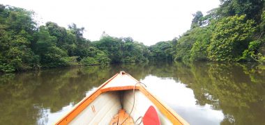 FWU - Regenwald - Boot auf Amazonas - small